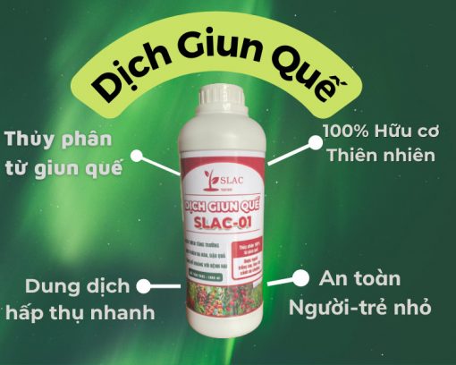 dich-giun-que-510x408